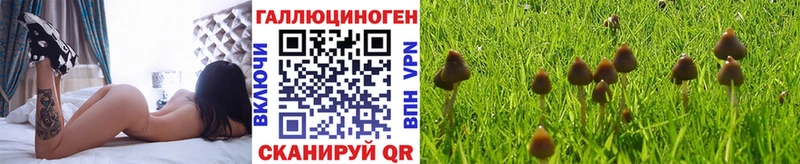 как найти закладки  Киров  Псилоцибиновые грибы Magic Shrooms 